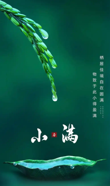 2025小滿