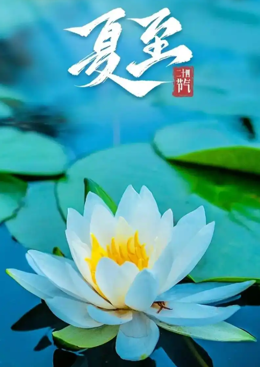 圖片-夏至.png